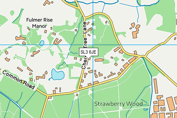 SL3 6JE map - OS VectorMap District (Ordnance Survey)