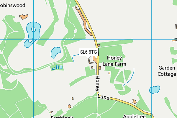 SL6 6TG map - OS VectorMap District (Ordnance Survey) SL6 6TG map - OS VectorMap District (Ordnance Survey)