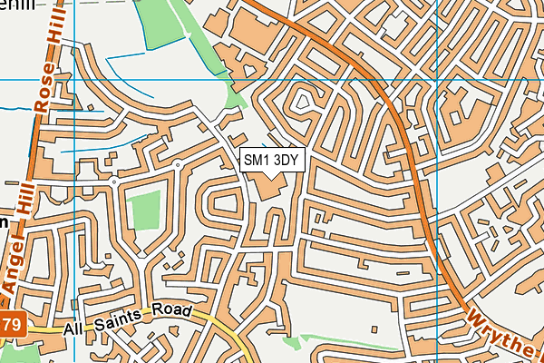 SM1 3DY map - OS VectorMap District (Ordnance Survey) SM1 3DY map - OS VectorMap District (Ordnance Survey)