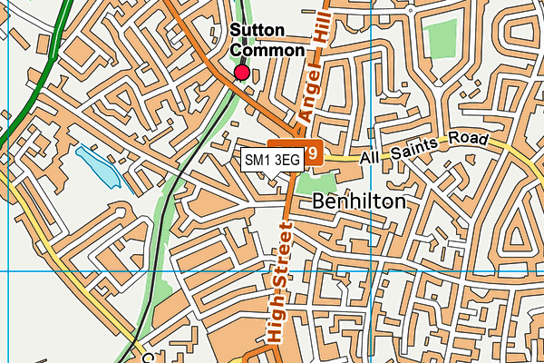 SM1 3EG map - OS VectorMap District (Ordnance Survey) SM1 3EG map - OS VectorMap District (Ordnance Survey)