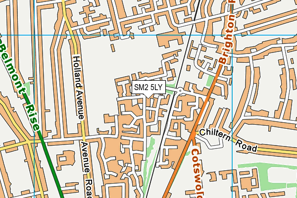 SM2 5LY map - OS VectorMap District (Ordnance Survey) SM2 5LY map - OS VectorMap District (Ordnance Survey)