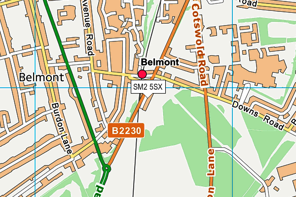 SM2 5SX map - OS VectorMap District (Ordnance Survey) SM2 5SX map - OS VectorMap District (Ordnance Survey)