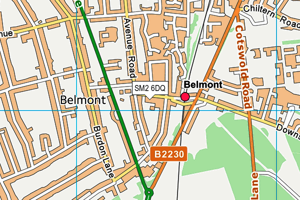 SM2 6DQ map - OS VectorMap District (Ordnance Survey)