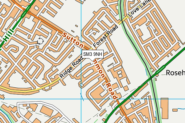 SM3 9NH map - OS VectorMap District (Ordnance Survey) SM3 9NH map - OS VectorMap District (Ordnance Survey)