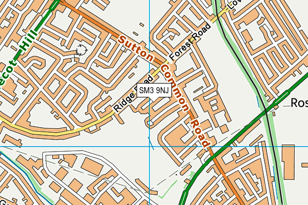 SM3 9NJ map - OS VectorMap District (Ordnance Survey) SM3 9NJ map - OS VectorMap District (Ordnance Survey)