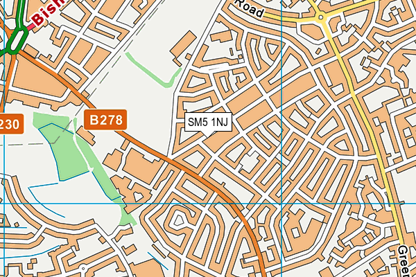 SM5 1NJ map - OS VectorMap District (Ordnance Survey) SM5 1NJ map - OS VectorMap District (Ordnance Survey)