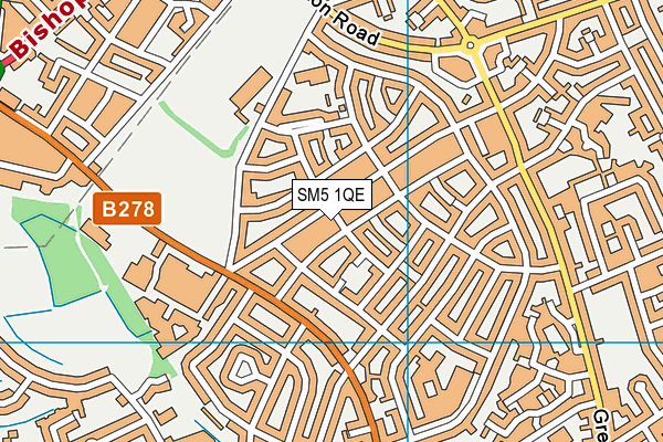 SM5 1QE map - OS VectorMap District (Ordnance Survey) SM5 1QE map - OS VectorMap District (Ordnance Survey)