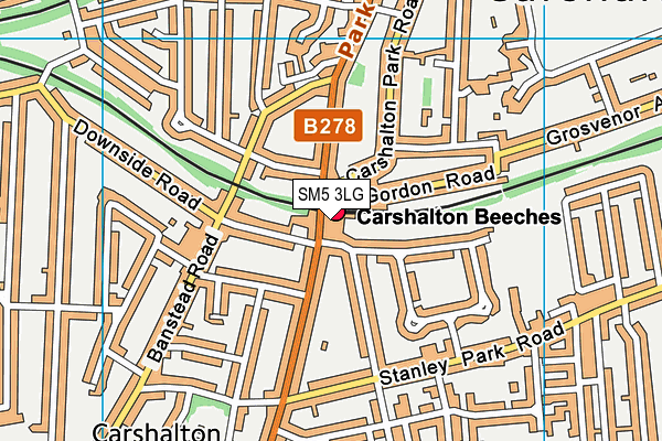 SM5 3LG map - OS VectorMap District (Ordnance Survey) SM5 3LG map - OS VectorMap District (Ordnance Survey)