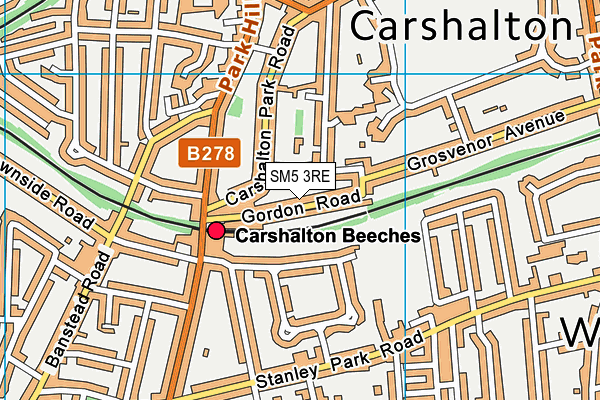SM5 3RE map - OS VectorMap District (Ordnance Survey)