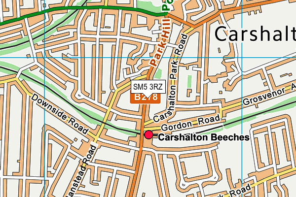 SM5 3RZ map - OS VectorMap District (Ordnance Survey) SM5 3RZ map - OS VectorMap District (Ordnance Survey)