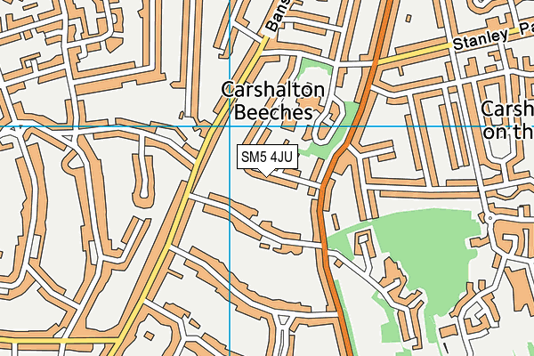 SM5 4JU map - OS VectorMap District (Ordnance Survey) SM5 4JU map - OS VectorMap District (Ordnance Survey)
