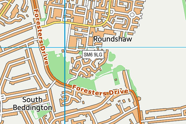 SM6 9LG map - OS VectorMap District (Ordnance Survey) SM6 9LG map - OS VectorMap District (Ordnance Survey)