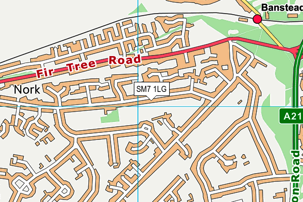 SM7 1LG map - OS VectorMap District (Ordnance Survey) SM7 1LG map - OS VectorMap District (Ordnance Survey)