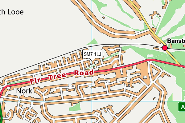 SM7 1LJ map - OS VectorMap District (Ordnance Survey) SM7 1LJ map - OS VectorMap District (Ordnance Survey)