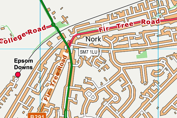 SM7 1LU map - OS VectorMap District (Ordnance Survey) SM7 1LU map - OS VectorMap District (Ordnance Survey)
