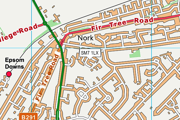 SM7 1LX map - OS VectorMap District (Ordnance Survey) SM7 1LX map - OS VectorMap District (Ordnance Survey)