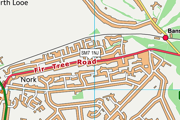 SM7 1NJ map - OS VectorMap District (Ordnance Survey) SM7 1NJ map - OS VectorMap District (Ordnance Survey)