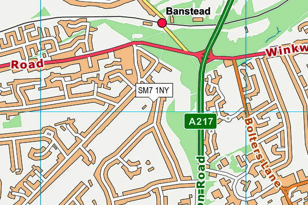SM7 1NY map - OS VectorMap District (Ordnance Survey) SM7 1NY map - OS VectorMap District (Ordnance Survey)