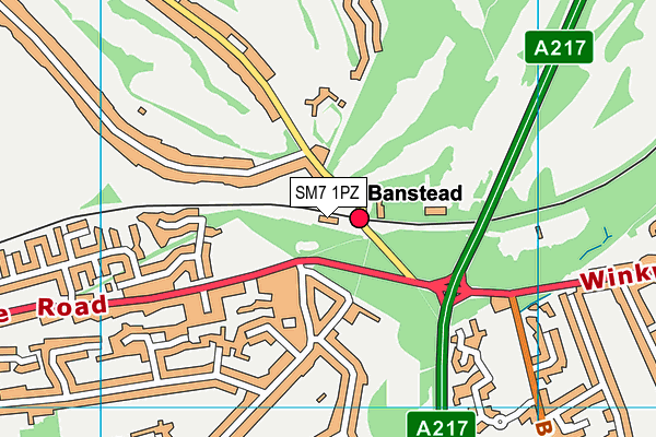 SM7 1PZ map - OS VectorMap District (Ordnance Survey) SM7 1PZ map - OS VectorMap District (Ordnance Survey)