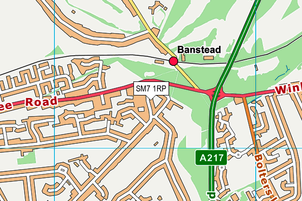 SM7 1RP map - OS VectorMap District (Ordnance Survey) SM7 1RP map - OS VectorMap District (Ordnance Survey)