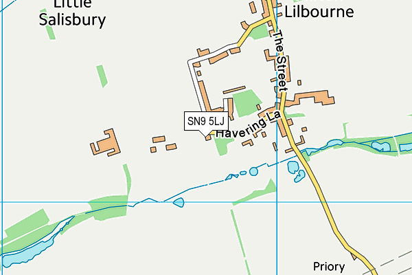 SN9 5LJ map - OS VectorMap District (Ordnance Survey) SN9 5LJ map - OS VectorMap District (Ordnance Survey)