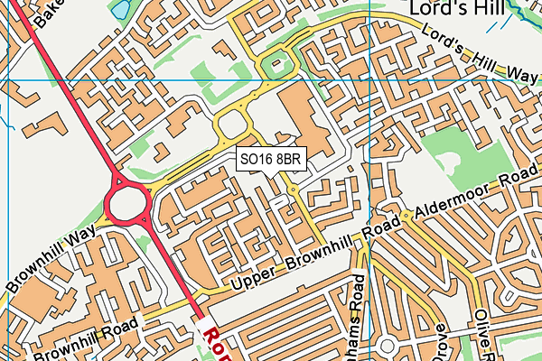 SO16 8BR map - OS VectorMap District (Ordnance Survey) SO16 8BR map - OS VectorMap District (Ordnance Survey)