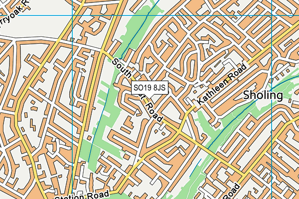 SO19 8JS map - OS VectorMap District (Ordnance Survey) SO19 8JS map - OS VectorMap District (Ordnance Survey)