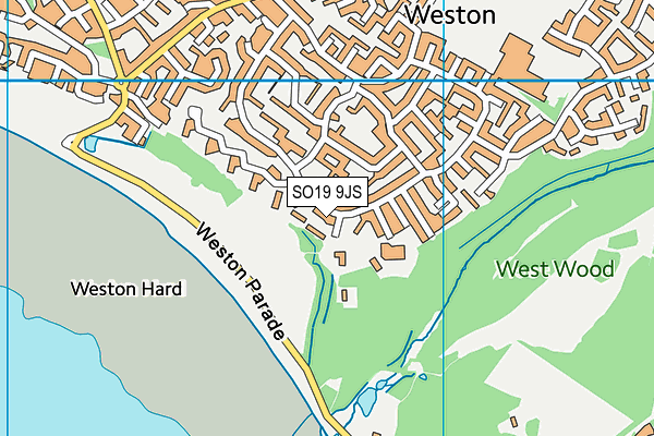SO19 9JS map - OS VectorMap District (Ordnance Survey) SO19 9JS map - OS VectorMap District (Ordnance Survey)