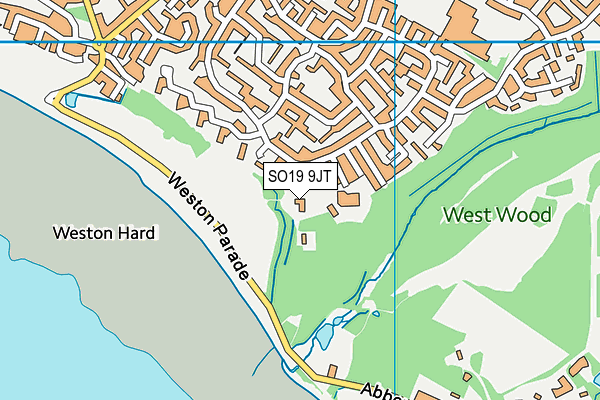 SO19 9JT map - OS VectorMap District (Ordnance Survey) SO19 9JT map - OS VectorMap District (Ordnance Survey)