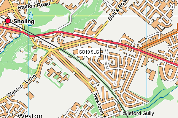 SO19 9LG map - OS VectorMap District (Ordnance Survey) SO19 9LG map - OS VectorMap District (Ordnance Survey)