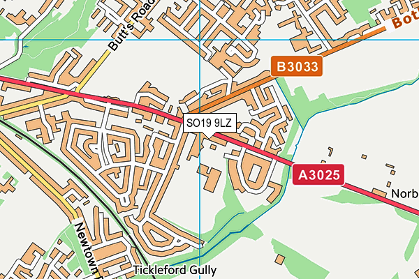 SO19 9LZ map - OS VectorMap District (Ordnance Survey) SO19 9LZ map - OS VectorMap District (Ordnance Survey)