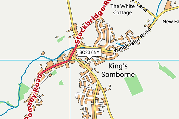 SO20 6NY map - OS VectorMap District (Ordnance Survey)