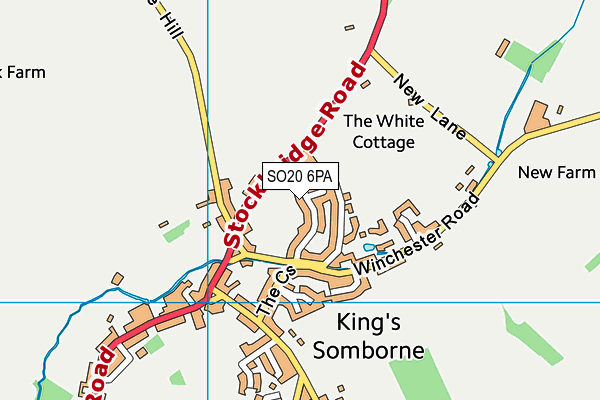 SO20 6PA map - OS VectorMap District (Ordnance Survey) SO20 6PA map - OS VectorMap District (Ordnance Survey)