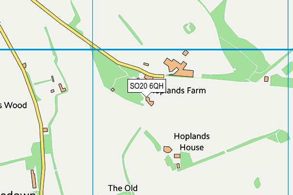 SO20 6QH map - OS VectorMap District (Ordnance Survey)