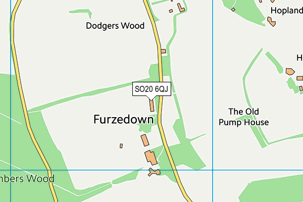 SO20 6QJ map - OS VectorMap District (Ordnance Survey) SO20 6QJ map - OS VectorMap District (Ordnance Survey)