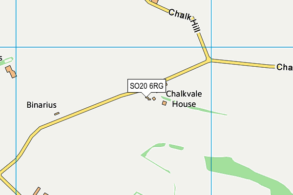 SO20 6RG map - OS VectorMap District (Ordnance Survey) SO20 6RG map - OS VectorMap District (Ordnance Survey)