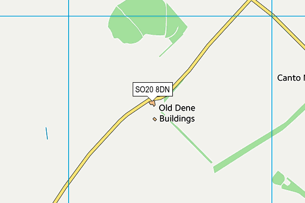 SO20 8DN map - OS VectorMap District (Ordnance Survey) SO20 8DN map - OS VectorMap District (Ordnance Survey)