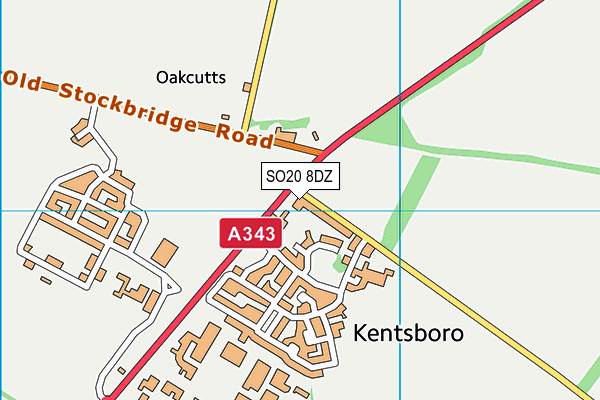SO20 8DZ map - OS VectorMap District (Ordnance Survey) SO20 8DZ map - OS VectorMap District (Ordnance Survey)