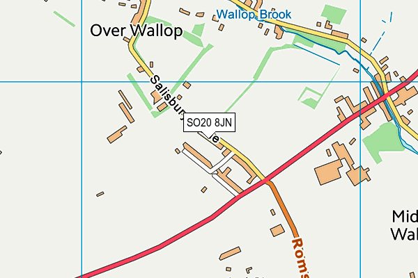 SO20 8JN map - OS VectorMap District (Ordnance Survey) SO20 8JN map - OS VectorMap District (Ordnance Survey)