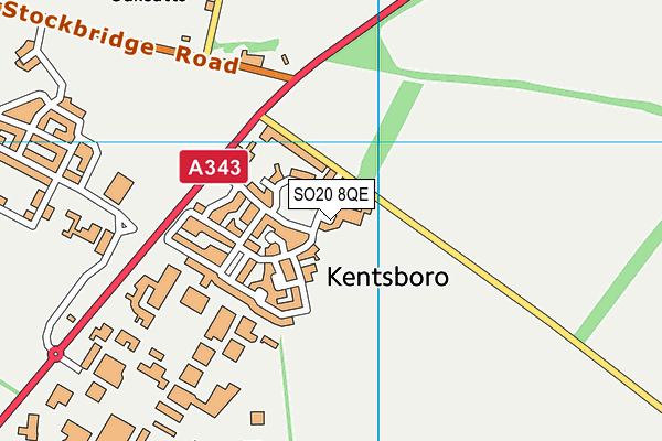 SO20 8QE map - OS VectorMap District (Ordnance Survey) SO20 8QE map - OS VectorMap District (Ordnance Survey)