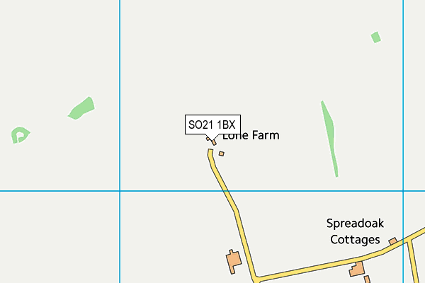 SO21 1BX map - OS VectorMap District (Ordnance Survey) SO21 1BX map - OS VectorMap District (Ordnance Survey)
