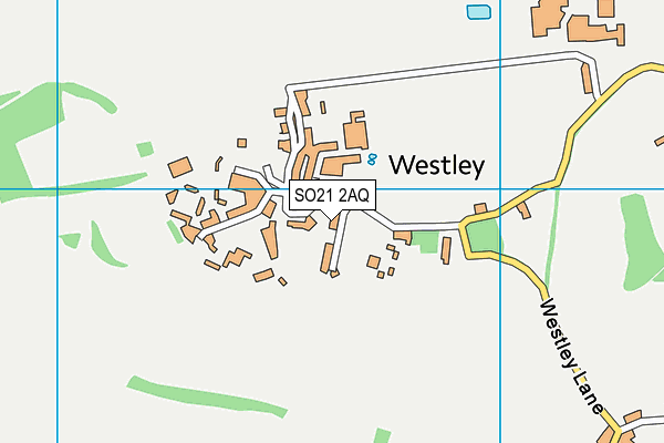 SO21 2AQ map - OS VectorMap District (Ordnance Survey) SO21 2AQ map - OS VectorMap District (Ordnance Survey)
