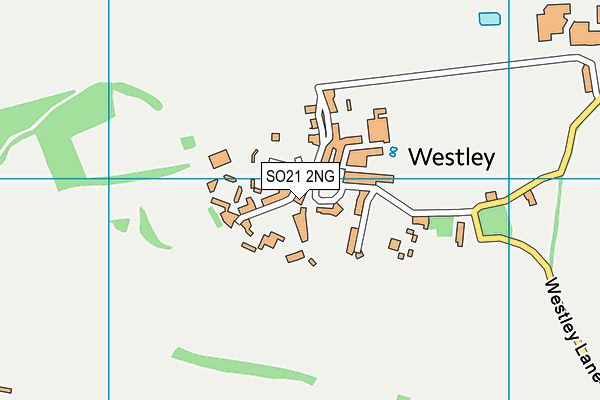 SO21 2NG map - OS VectorMap District (Ordnance Survey) SO21 2NG map - OS VectorMap District (Ordnance Survey)