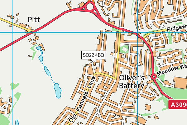 SO22 4BQ map - OS VectorMap District (Ordnance Survey) SO22 4BQ map - OS VectorMap District (Ordnance Survey)