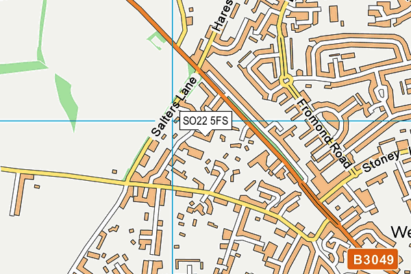 SO22 5FS map - OS VectorMap District (Ordnance Survey) SO22 5FS map - OS VectorMap District (Ordnance Survey)