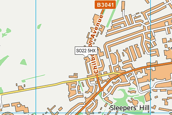 SO22 5HX map - OS VectorMap District (Ordnance Survey) SO22 5HX map - OS VectorMap District (Ordnance Survey)