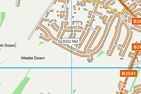 SO22 5NZ map - OS VectorMap District (Ordnance Survey) SO22 5NZ map - OS VectorMap District (Ordnance Survey)