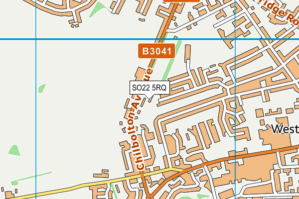 SO22 5RQ map - OS VectorMap District (Ordnance Survey) SO22 5RQ map - OS VectorMap District (Ordnance Survey)