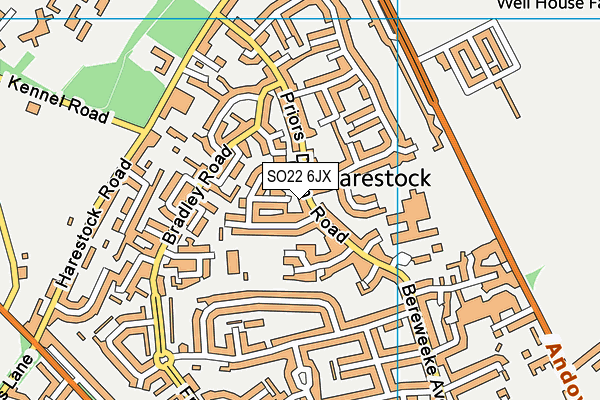 SO22 6JX map - OS VectorMap District (Ordnance Survey) SO22 6JX map - OS VectorMap District (Ordnance Survey)