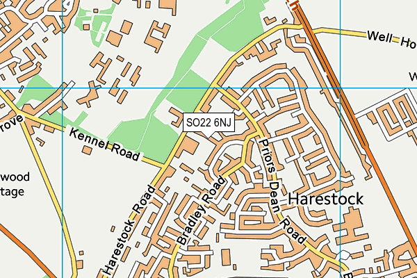 SO22 6NJ map - OS VectorMap District (Ordnance Survey) SO22 6NJ map - OS VectorMap District (Ordnance Survey)
